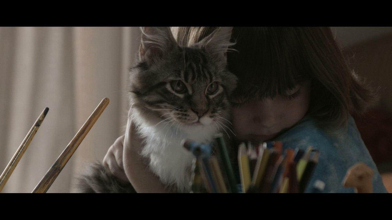 US Creative Work of the Week: Whiskas ad tells true story of young autistic girl and her cat companion