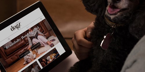 Slipper brand Lazy Dogz makes major online marketing push with Media Agency Group